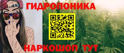первитин Гусев