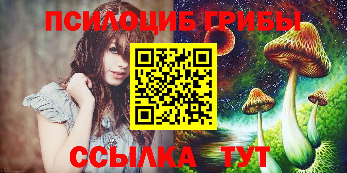 Псилоцибиновые грибы Magic Shrooms  где можно купить   Тайшет  Вход с VPN 
